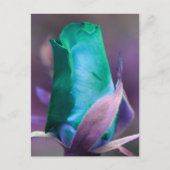 ターコイズ ローズバッド フラワー オーダーメイド ポストカード (正面)