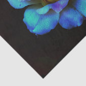 ターコイズN金ゴールドレインボーバラ 薄葉紙 (詳細)