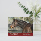 ターコマン葉書 ポストカード (スタンド正面)