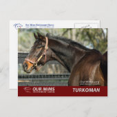 ターコマン葉書 ポストカード (正面/裏面)