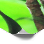 ターシエ ポスター (角)