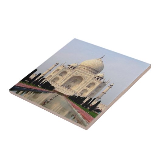 タージマハル タイル (側面)