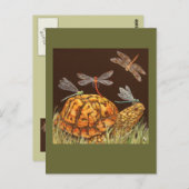 タートスクールバスはがき ポストカード (正面/裏面)