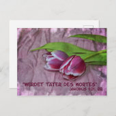 タートデワーテス ポストカード (正面/裏面)