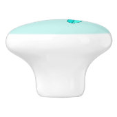 タートリーカッコいいベビーウミガメ セラミックノブ (側面)