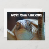 タートリー素晴らしはがき ポストカード (正面/裏面)