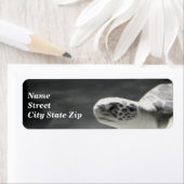 タートルおもしろい ラベル (インサイチュ)