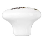 タートルインウォーター色セラミックノブ セラミックノブ (側面)