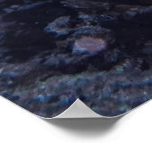 タートルオンザコーラル ポスター (角)