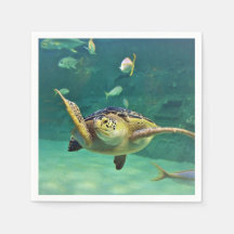 タートルシーウォーター魚の写真