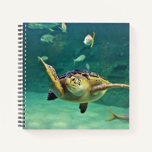 タートルシーウォーター魚の写真 ノートブック (正面)