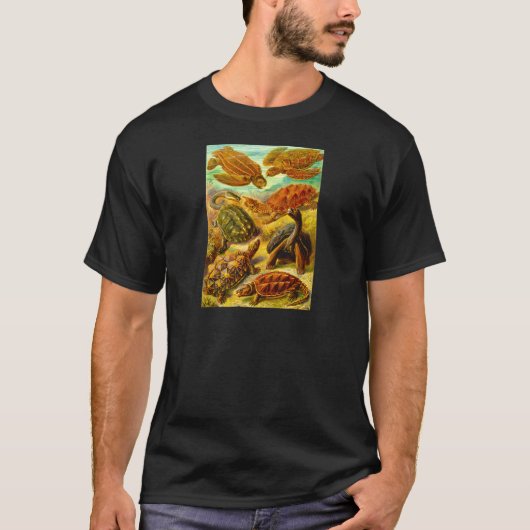タートルズ Tシャツ (正面)