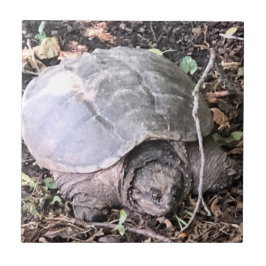 タートルセラミックタイル タイル