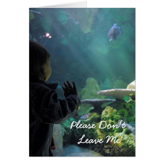 タートルタンクビューア (正面)