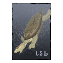 タートルダイブトゥート深い