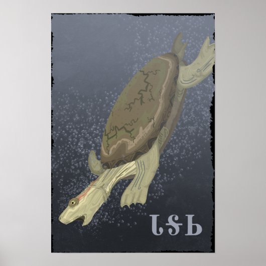 タートルダイブトゥート深い ポスター (正面)