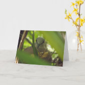 タートルハトのグリーティングカード カード (黄色い花)