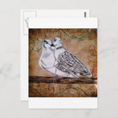 タートルハト2匹 ポストカード (正面/裏面)