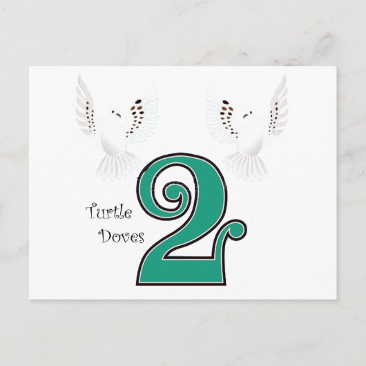 タートルハト2 ポストカード (正面)