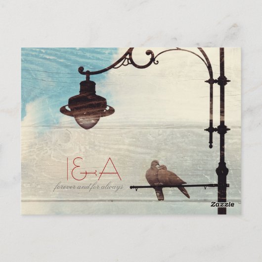 タートルハト – 愛と忠実 ポストカード (裏面)