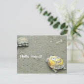 タートルファンSpongeBob ポストカード (スタンド正面)