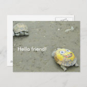 タートルファンSpongeBob ポストカード (正面/裏面)