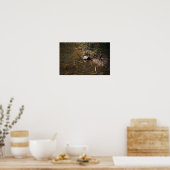 タートルフォトポスター ポスター (キッチン)