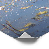 タートルフォトポスター ポスター (角)