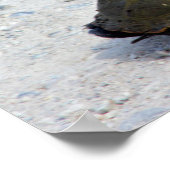 タートルフォト ポスター (角)