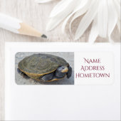 タートルフォト ラベル (インサイチュ)