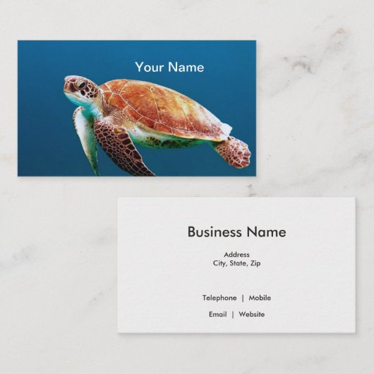 タートルブルーウォーターシー写真 名刺 (正面/裏面)