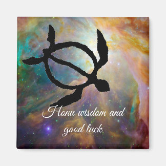 タートルペトログリフ磁石 マグネット