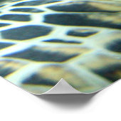 タートルポスター ポスター (角)