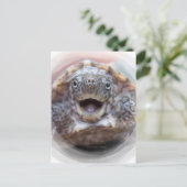 タートルマウスオープンラウンドフレーム不機嫌ムスクカメ ポストカード (スタンド正面)