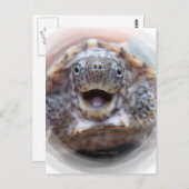 タートルマウスオープンラウンドフレーム不機嫌ムスクカメ ポストカード (正面/裏面)