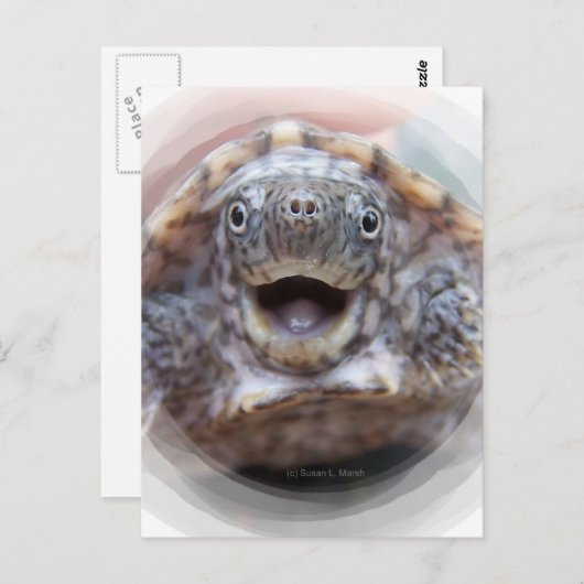 タートルマウスオープンラウンドフレーム不機嫌ムスクカメ ポストカード (正面/裏面)
