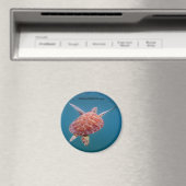 タートルマグネット マグネット (インサイチュ (食洗機))