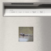 タートルマグネット マグネット (インサイチュ (食洗機))