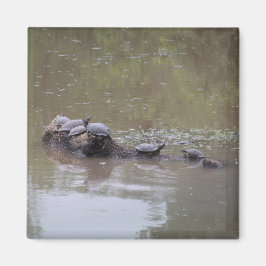 タートルマグネット マグネット