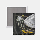 タートルマグネット マグネット (正面/裏面)