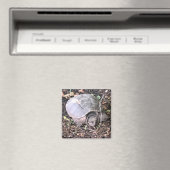 タートルマグネット マグネット (インサイチュ (食洗機))