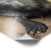 タートルマーク・バタフライ フォトプリント            (角)