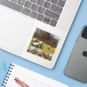 タートルラグビースポーツ シール (ノートパソコンとiPhone)