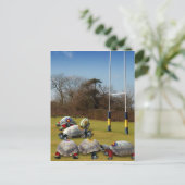 タートルラグビー ポストカード (スタンド正面)