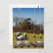 タートルラグビー ポストカード (正面/裏面)