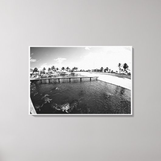 タートルラグーン キャンバスプリント (正面)