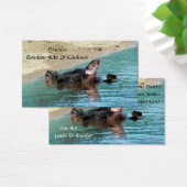 タートルランダム親切心カード (デスク)