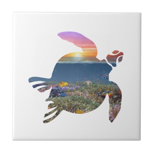 タートルリーフ タイル (正面)