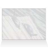 タートルレスト (内部横(上))