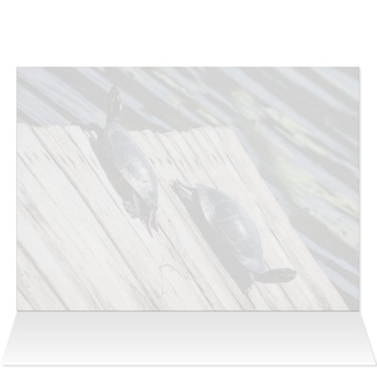 タートルレスト (内部横(上))